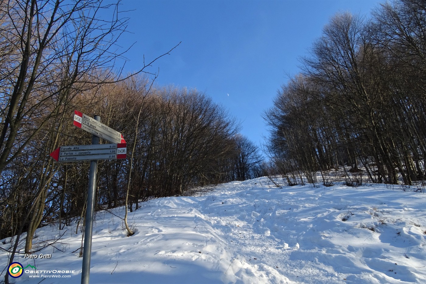 70 Neve salendo in Monte Tesoro sul 571 DOL.JPG
